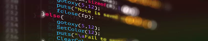 Close-up of WordPress backend code being audited by Chester WorX for unpatched security vulnerabilities and logic errors.